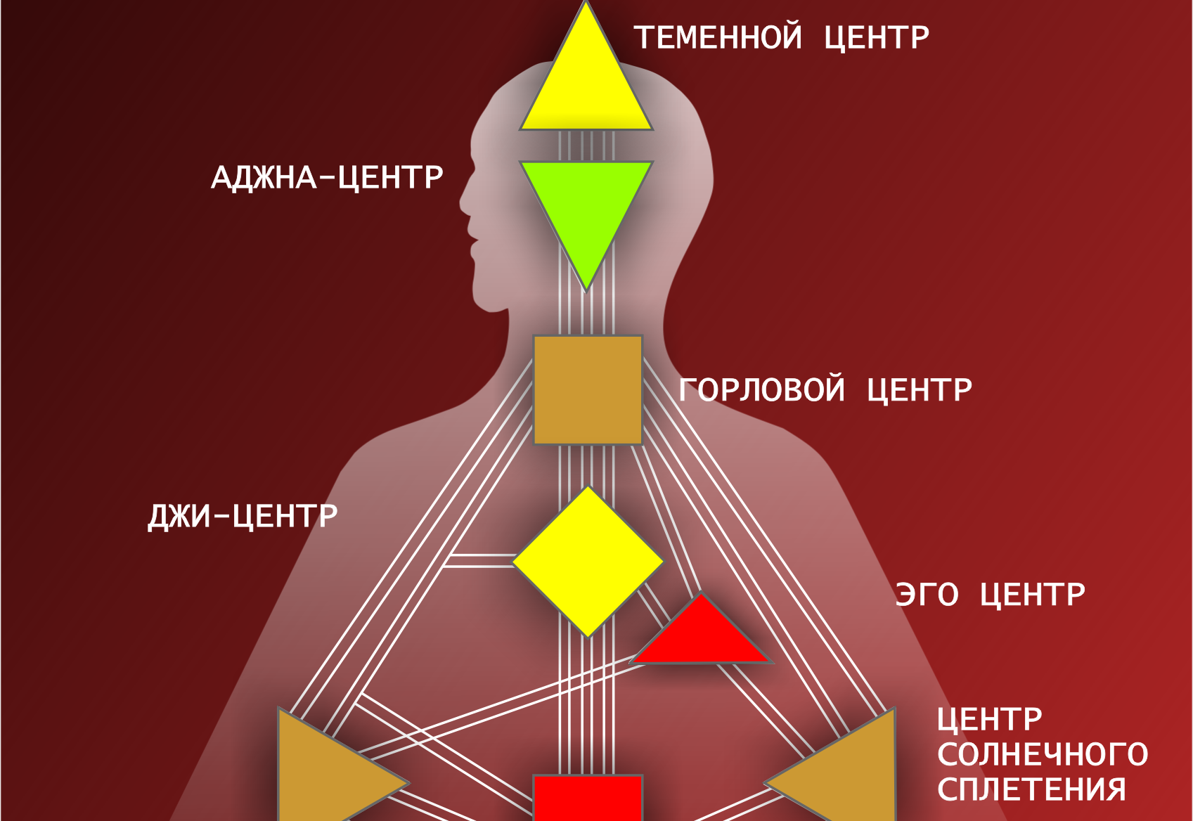 модель бодиграфа человека 